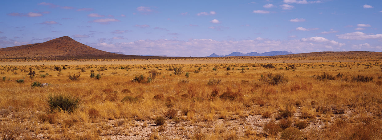 Big Bend National Park