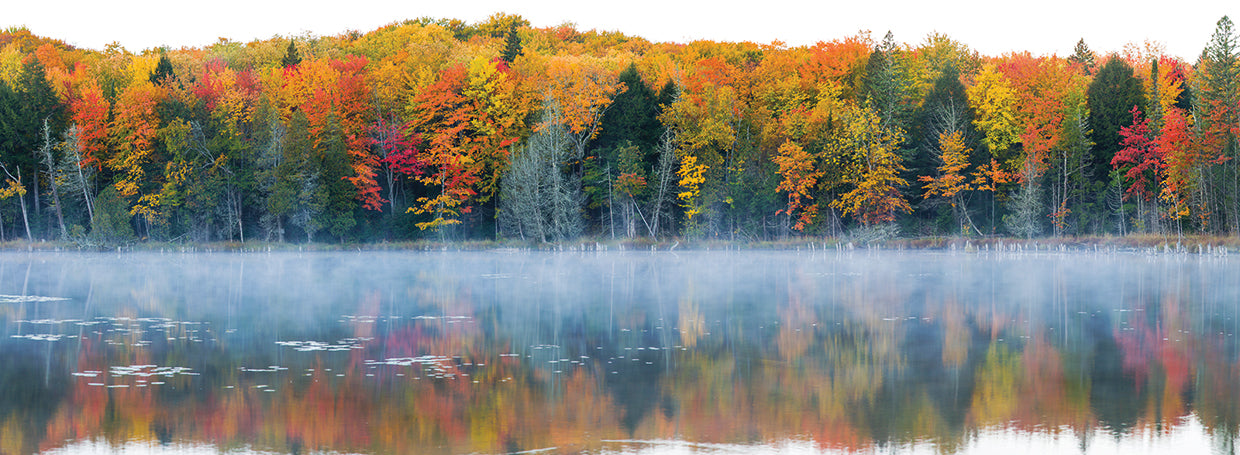 Autumn in Lake Hiawatha
