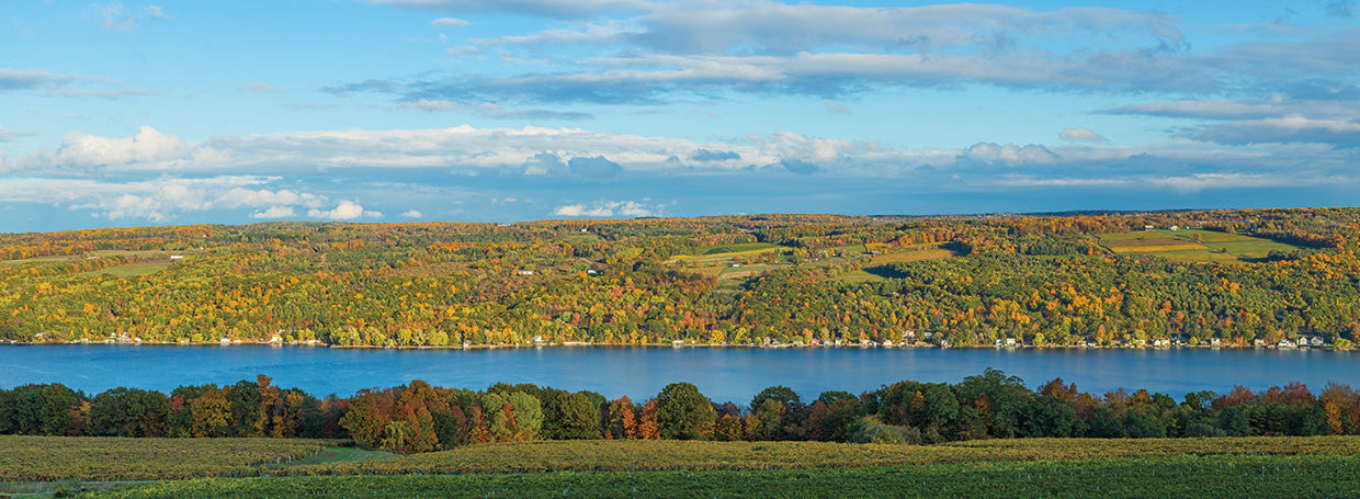 Hills in Finger Lakes