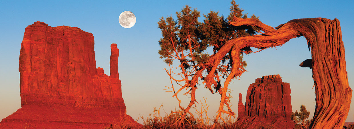 Monument Valley Tribal Park