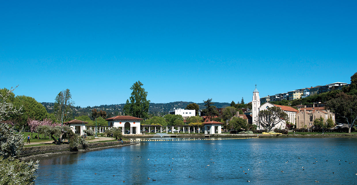Lago Merritt en primavera Lienzo