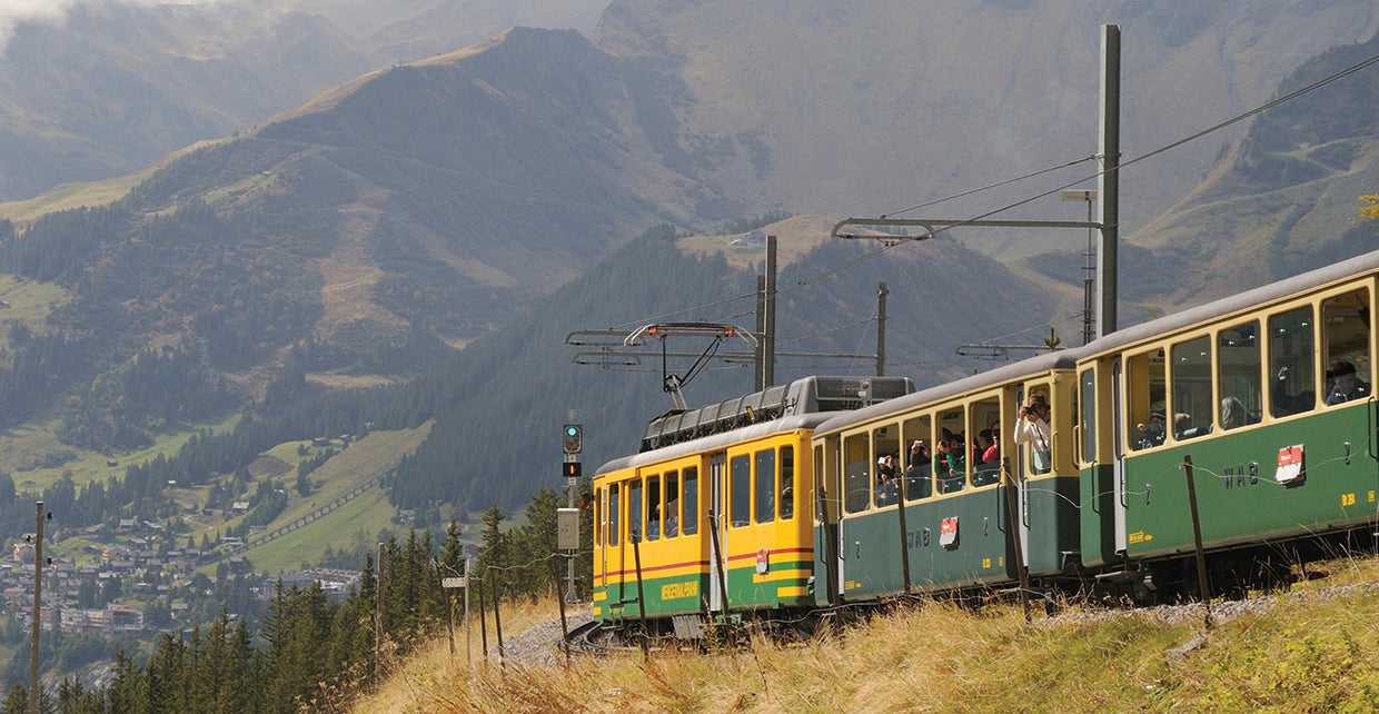 Train Through Bernese Oberland