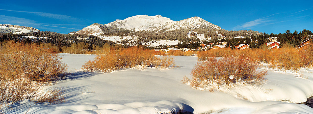 Mammoth Mountain Ski Area
