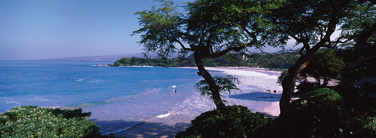 Trees in Mauna Kea