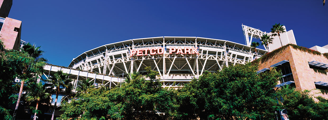 Parque Petco Lienzo