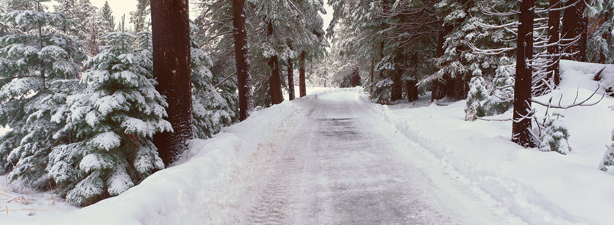 Winter Road in Lake Tahoe