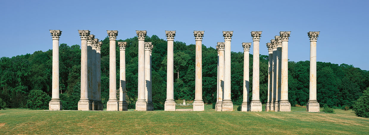 Primeras columnas del capitolio Lienzo