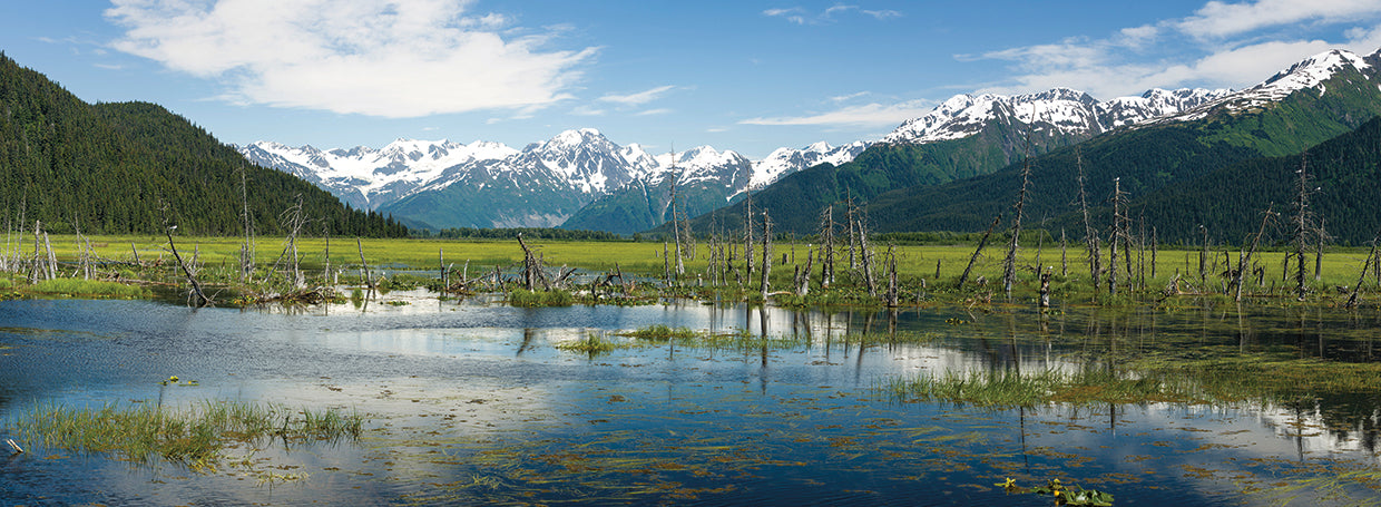 Chugach Mountains in Alaska
