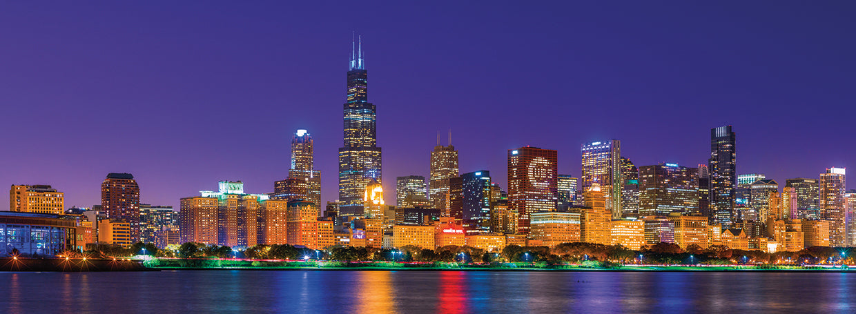 Cubs on Chicago Skyline