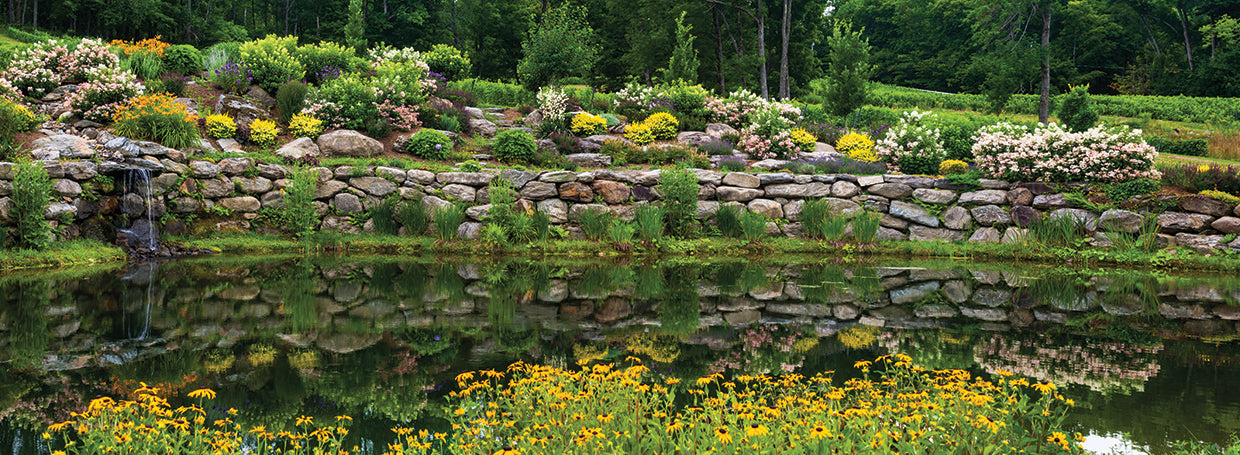 Rock Garden in Quebec