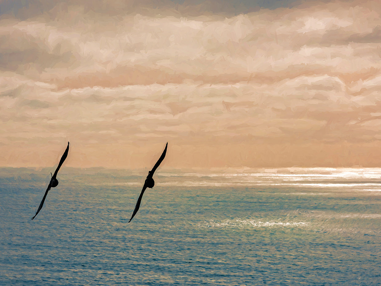 Two Seagulls in Flight