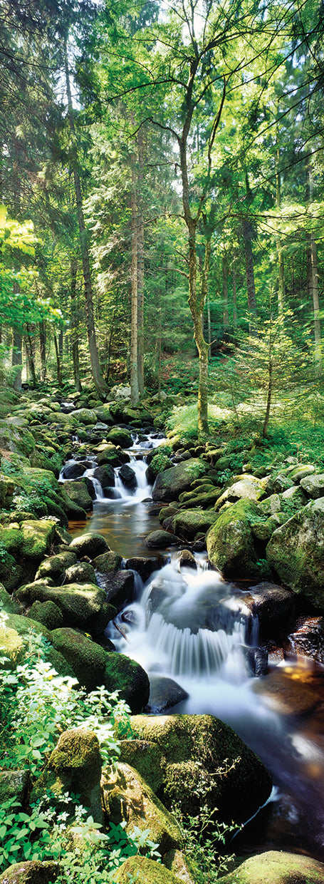 Stream Through A Forest