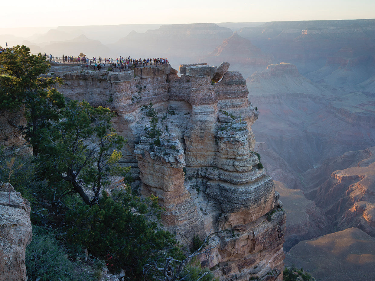 Grand Canyon Observation Point