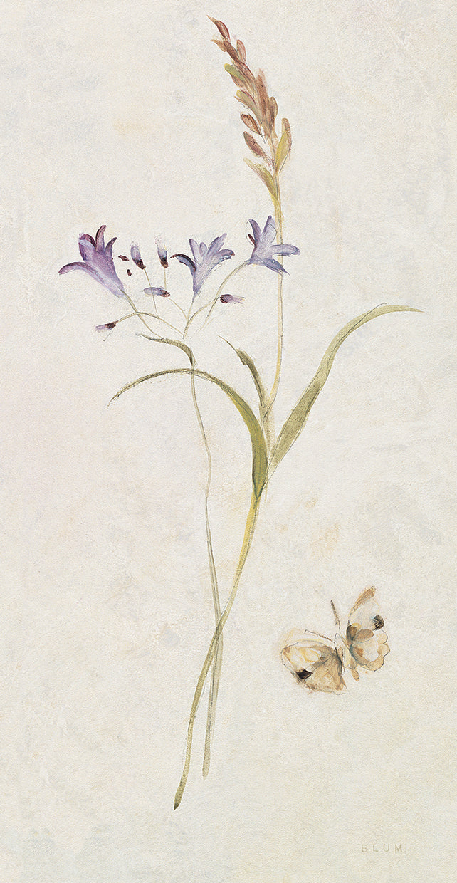 Wild Wallflowers III