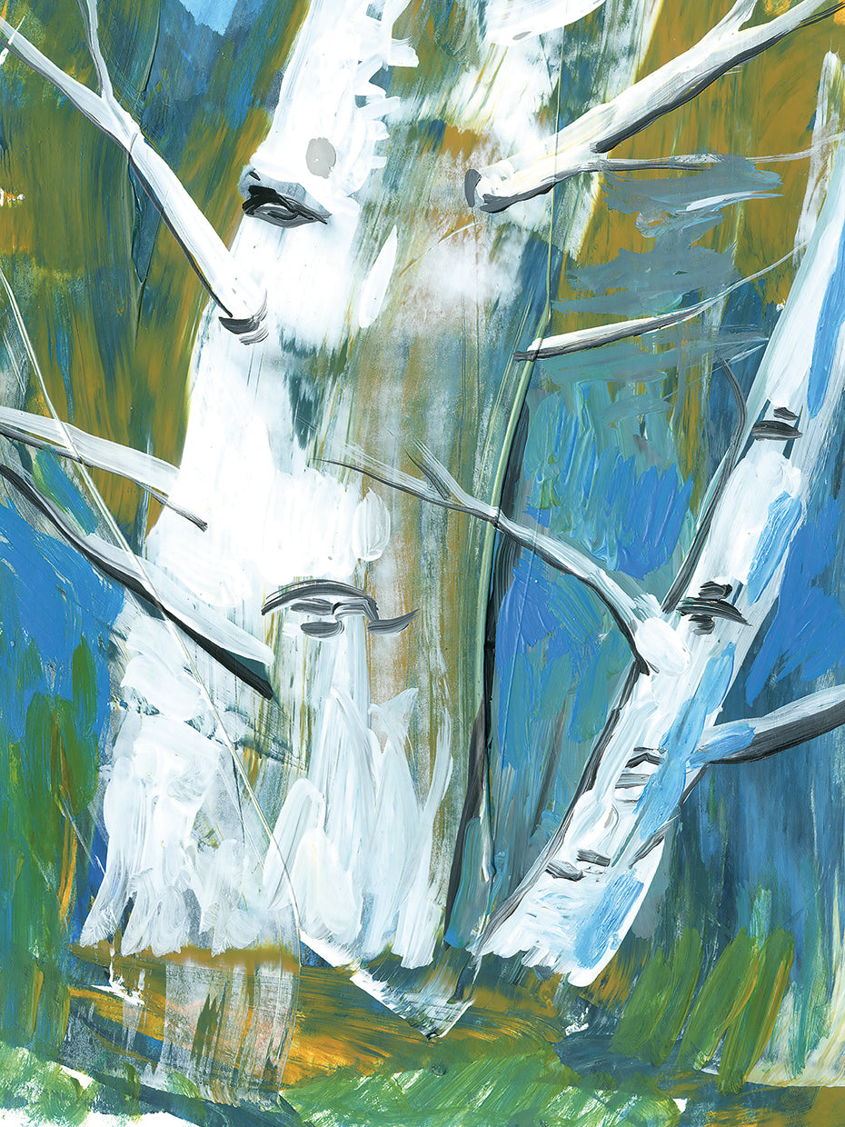 Birch Trees