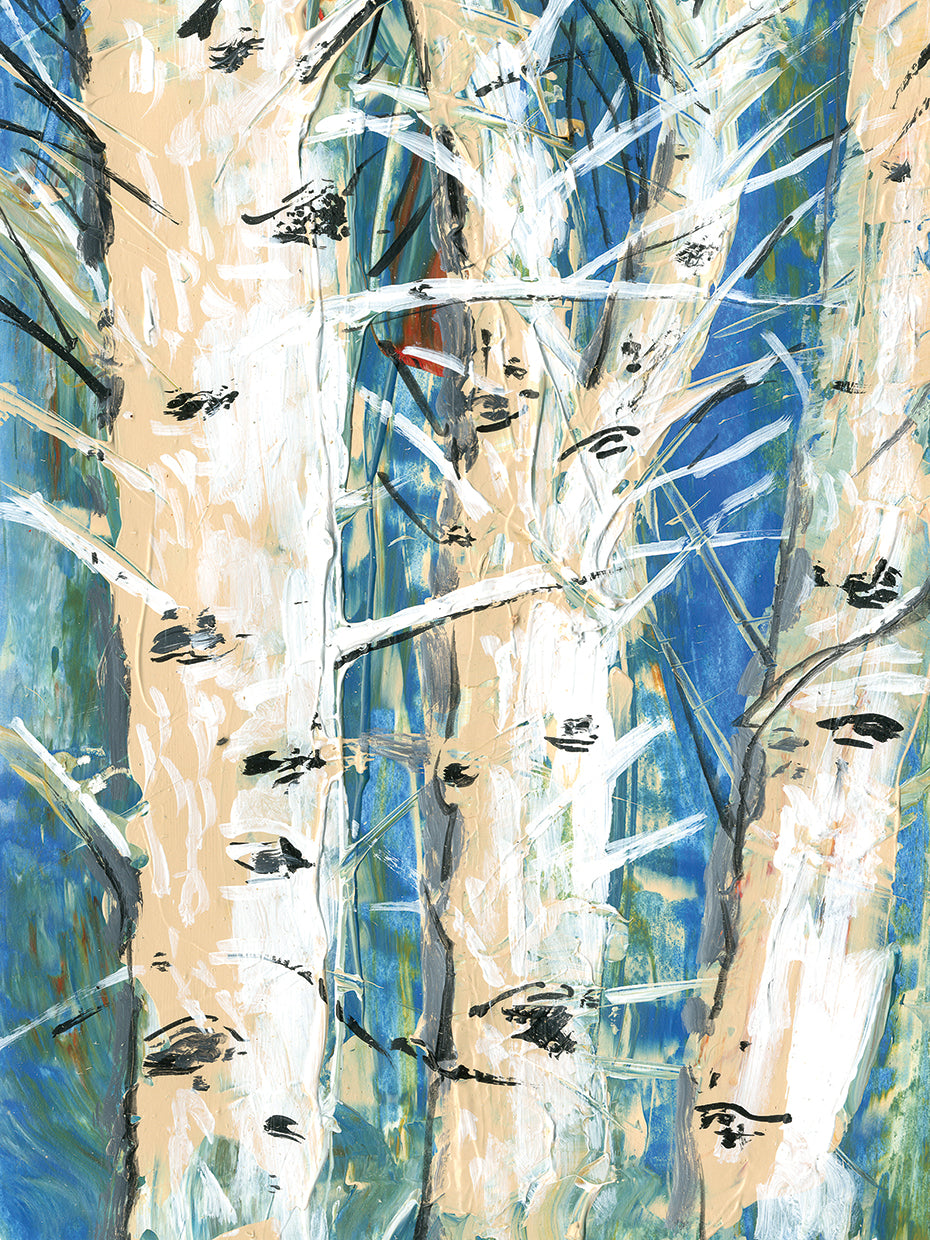 Birch Trees