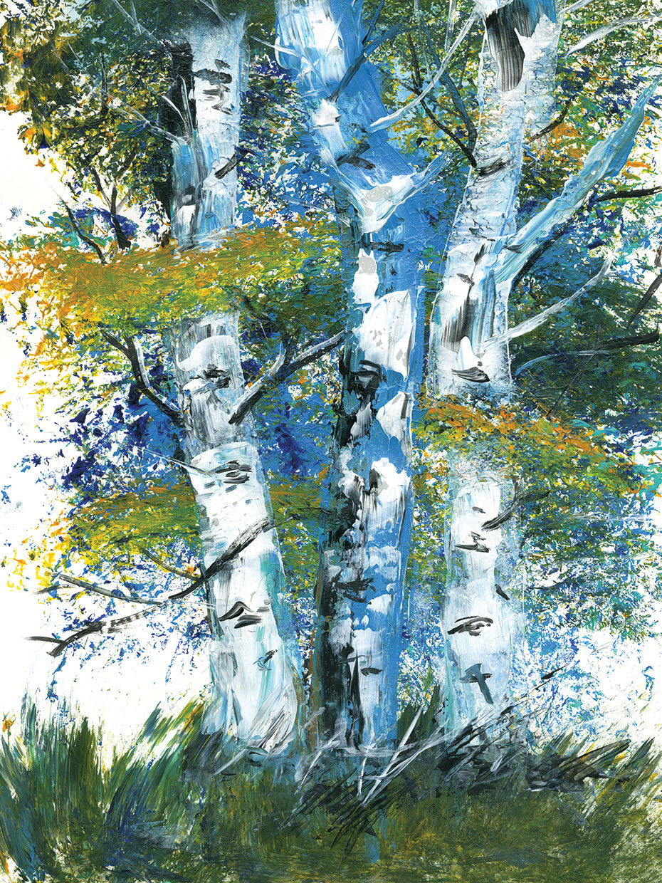 Birch Trees