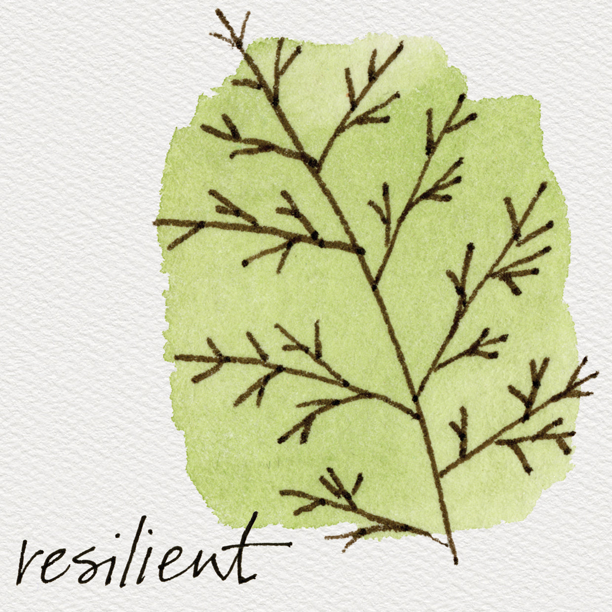 Floral Doodles Resilient