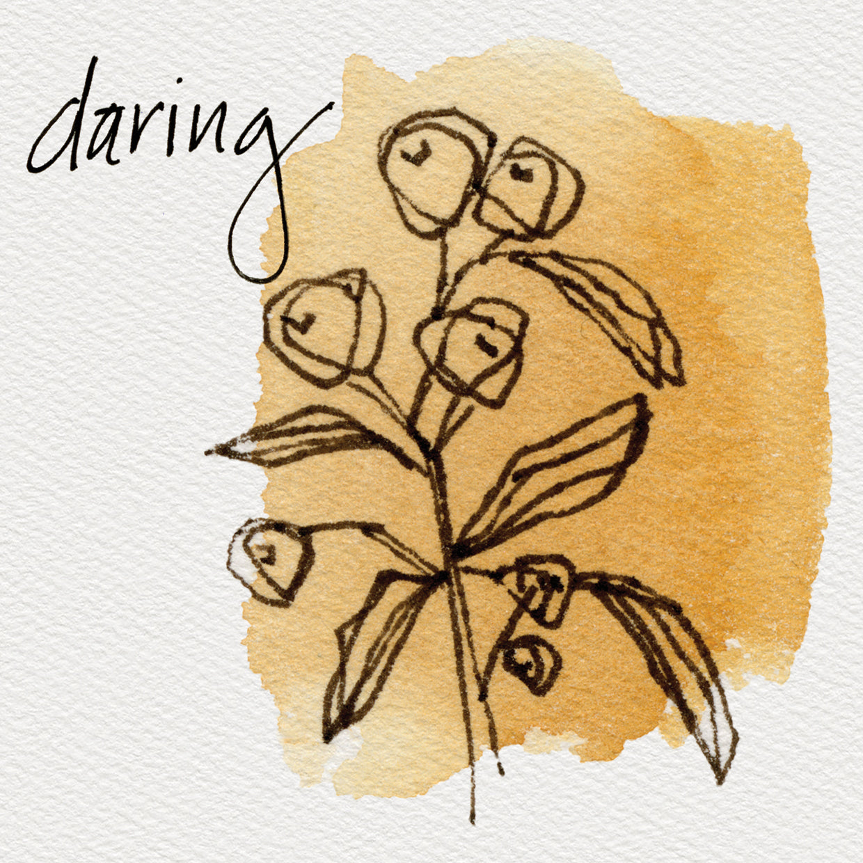Floral Doodles Daring
