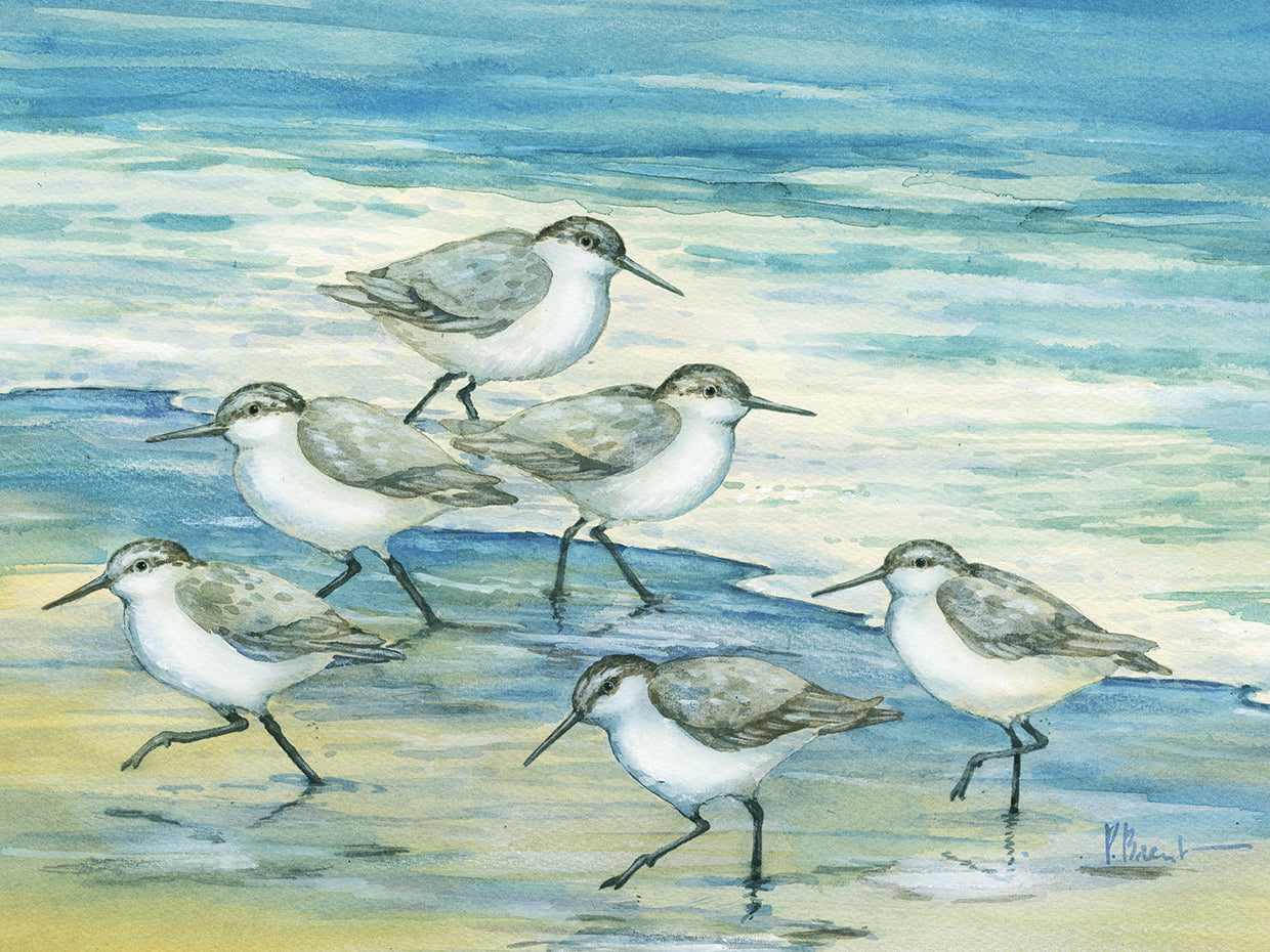 Surfside Sandpipers