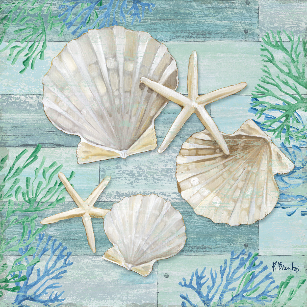 Clearwater Shells IV