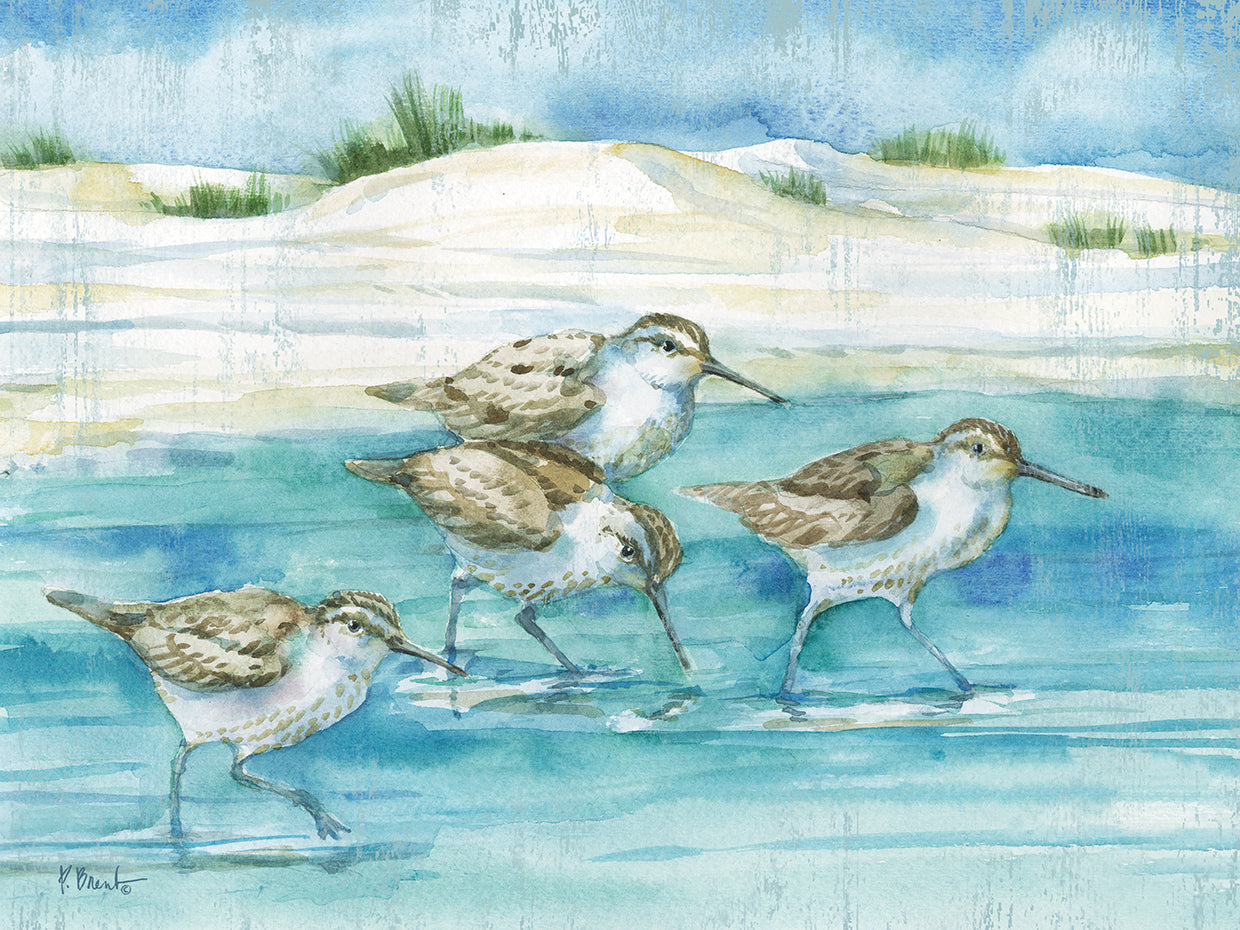 Sandy Sandpipers I