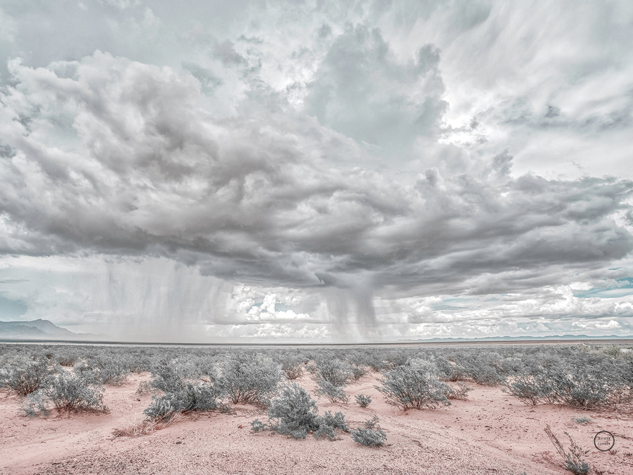 New Mexico Rain