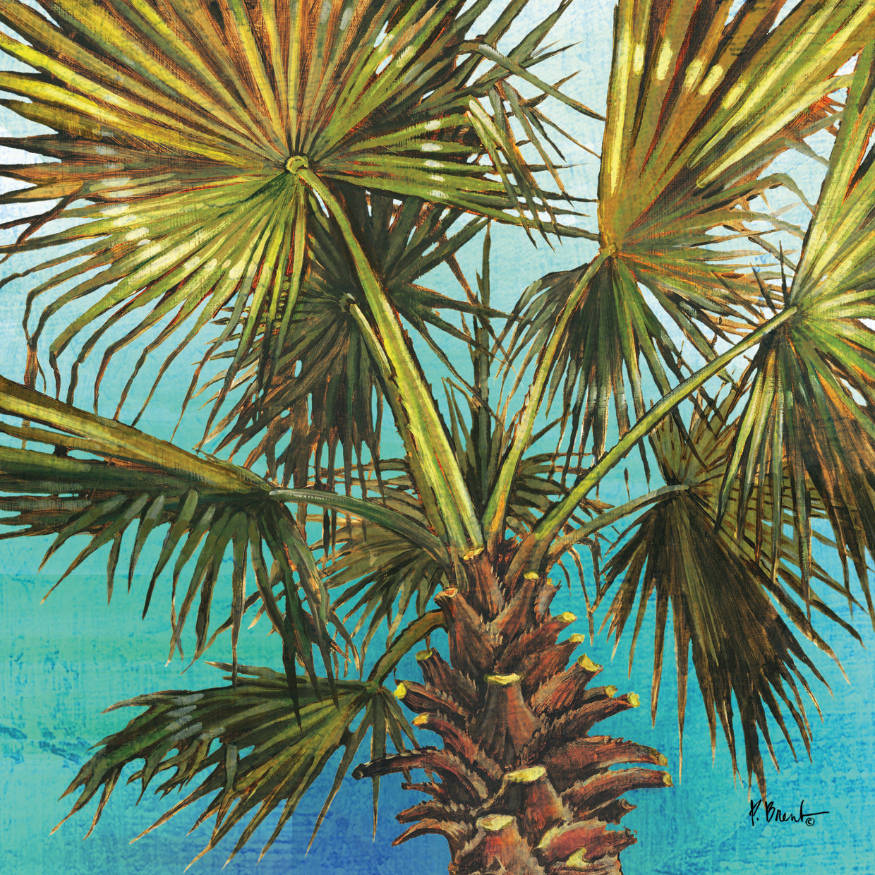 Woodside Palms I – Blue