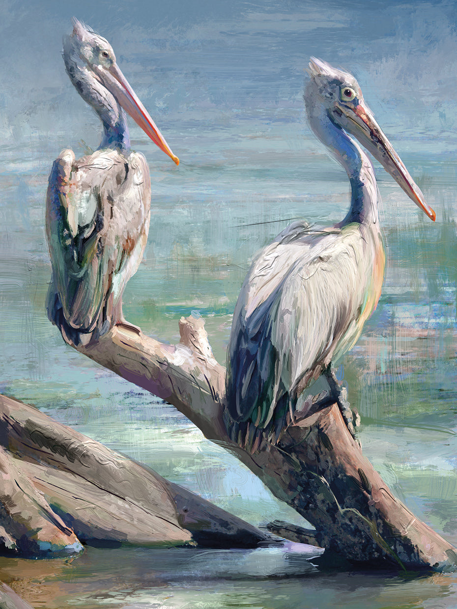 Pelican Pair