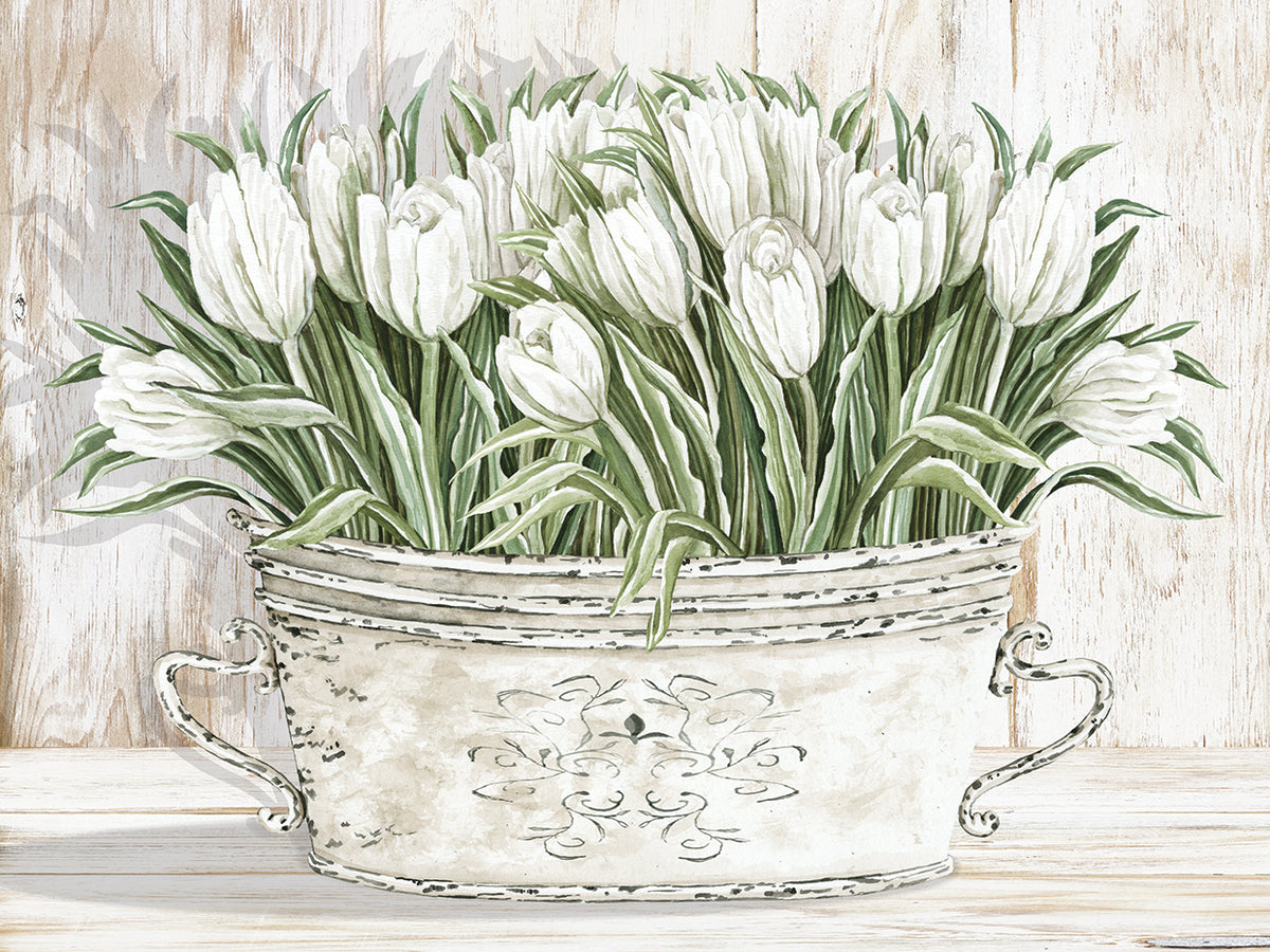 Tulips in White Chipped Pail Wall Art by Cindy Jacobs | Fine Art Canvas