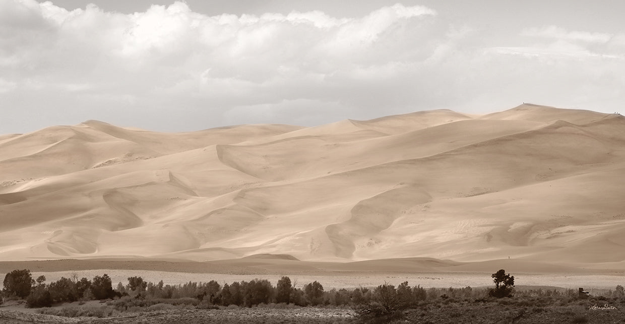 The Great Sand Dunes