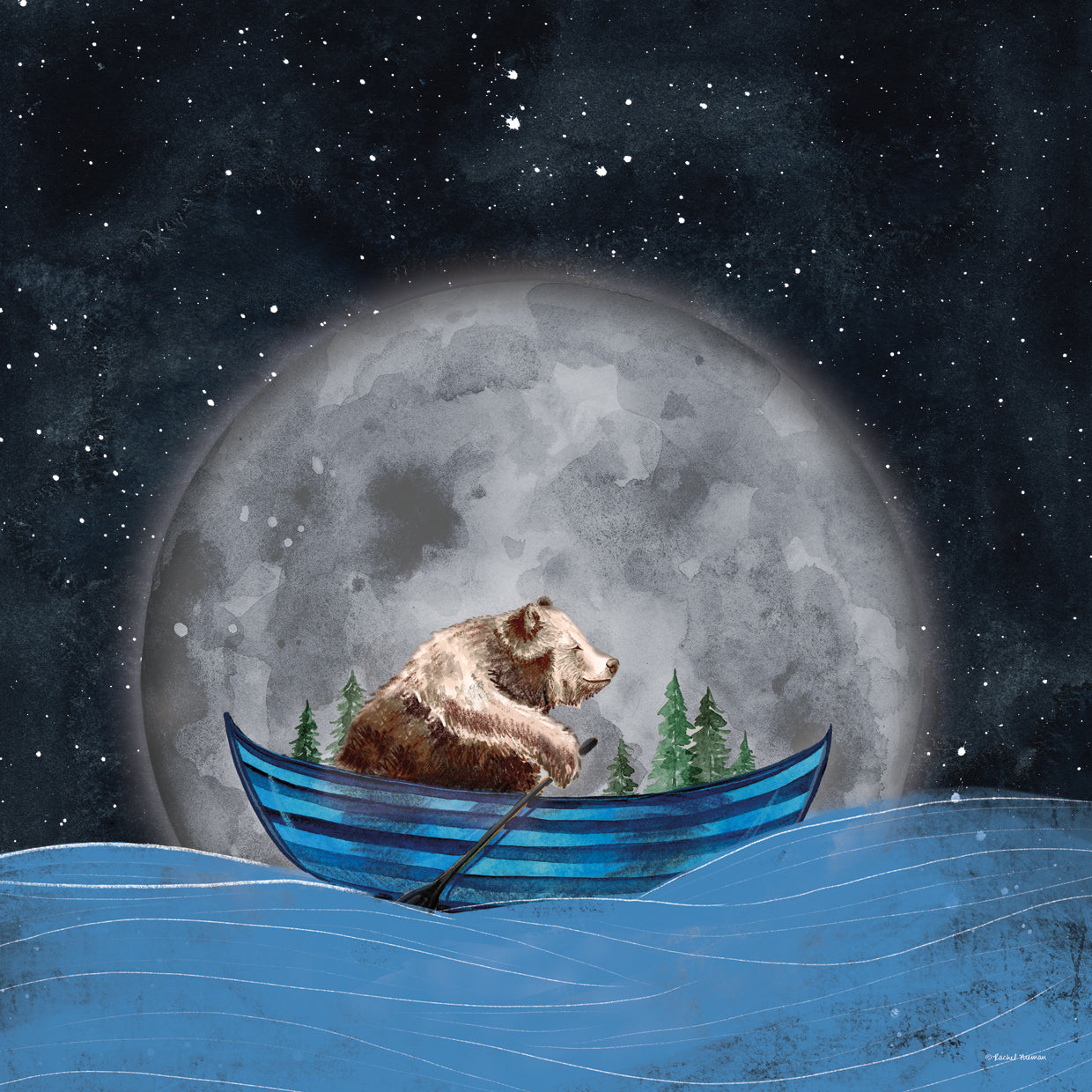 Bear Rowing in the Sea