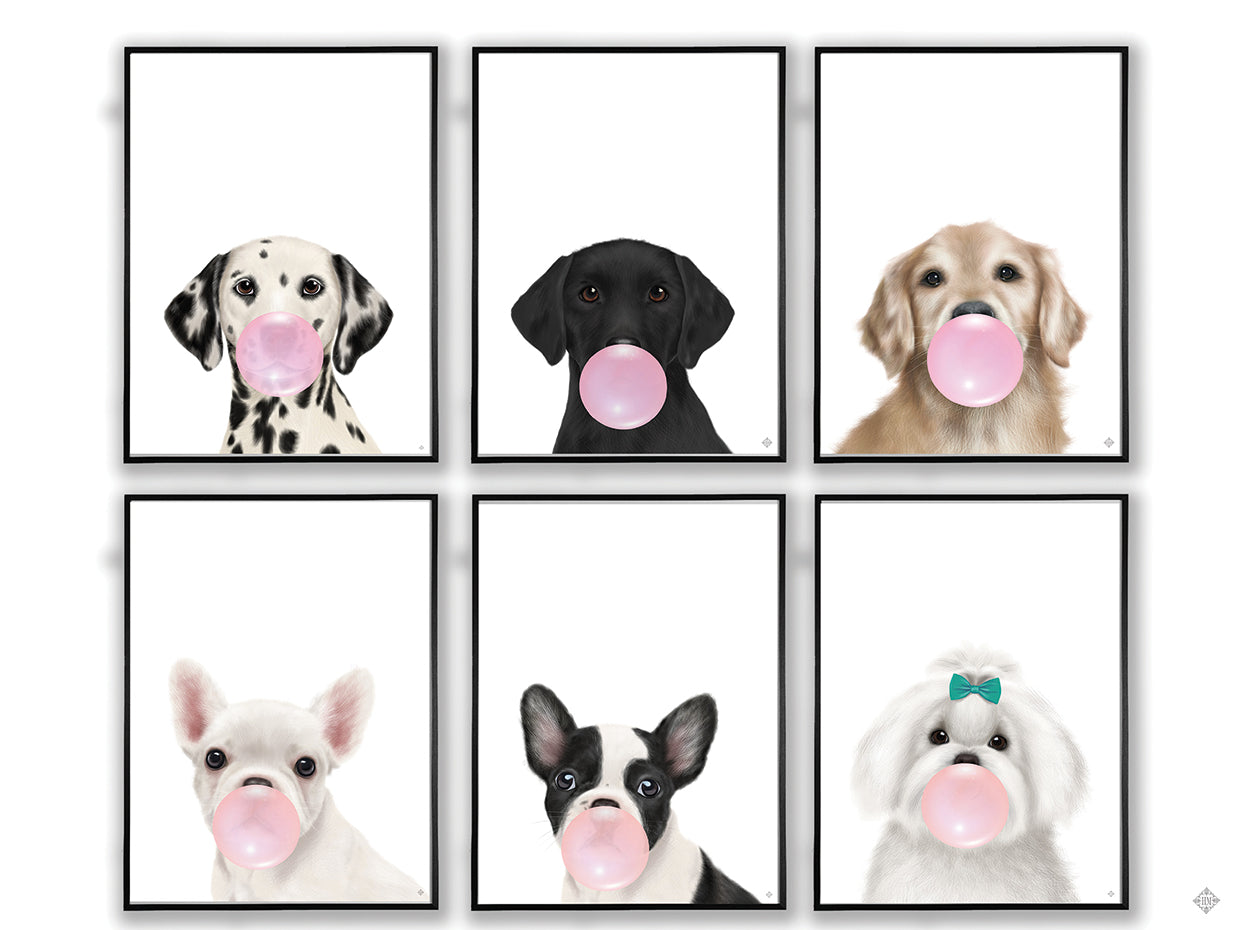 Friendly greeter VII