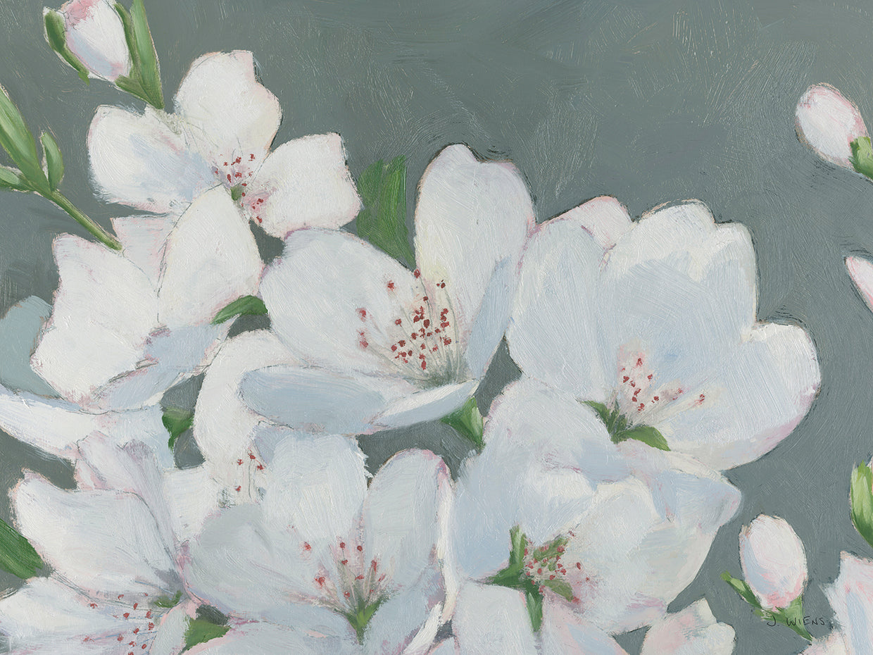 Spring Apple Blossoms