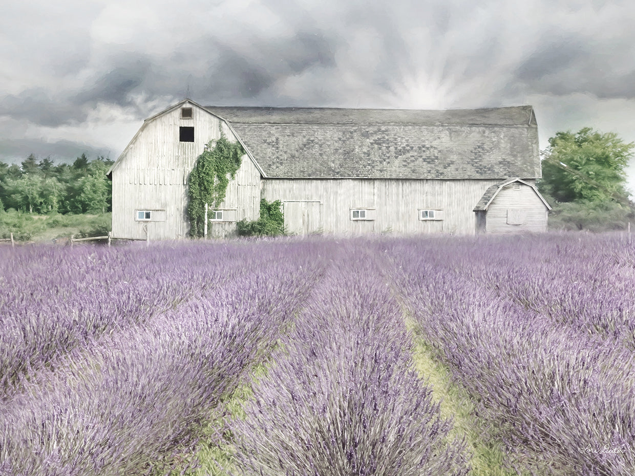 Shades of Lavender and Gray