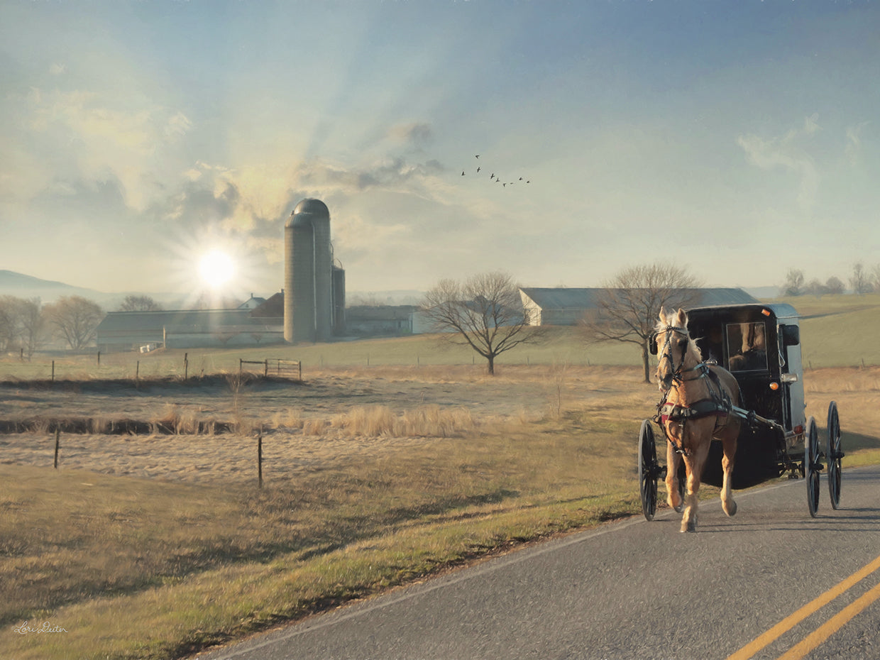 Country Morning in Bethel