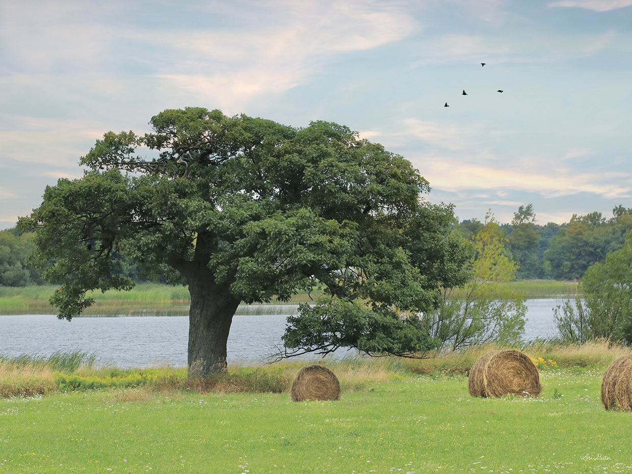 Summer Hay Harvest