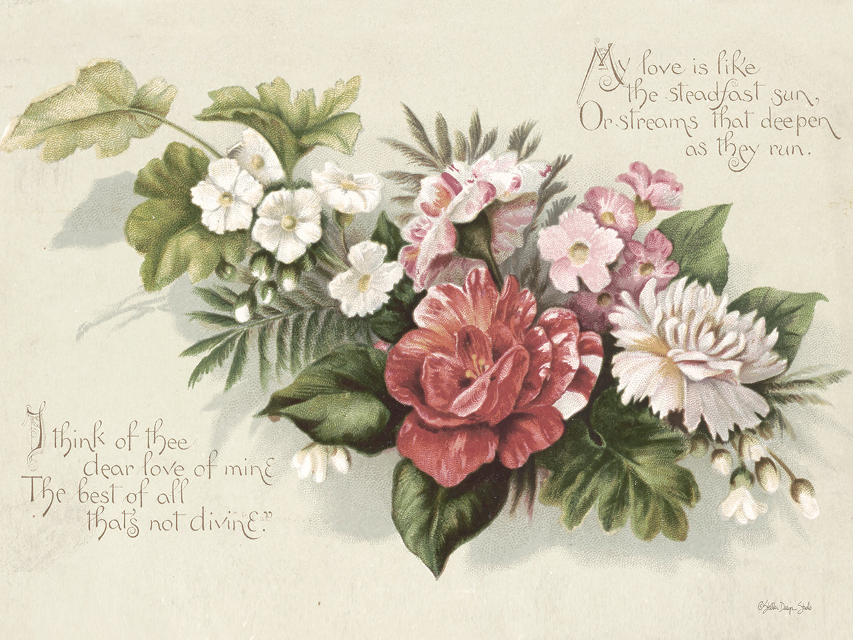 My Love is Like the Steadfast Sun