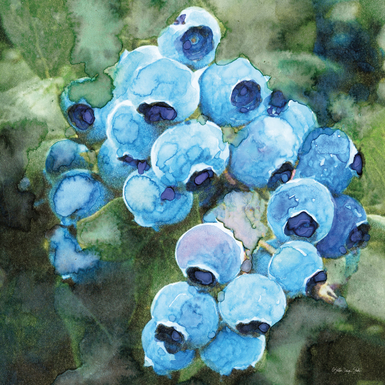 Blueberries 3