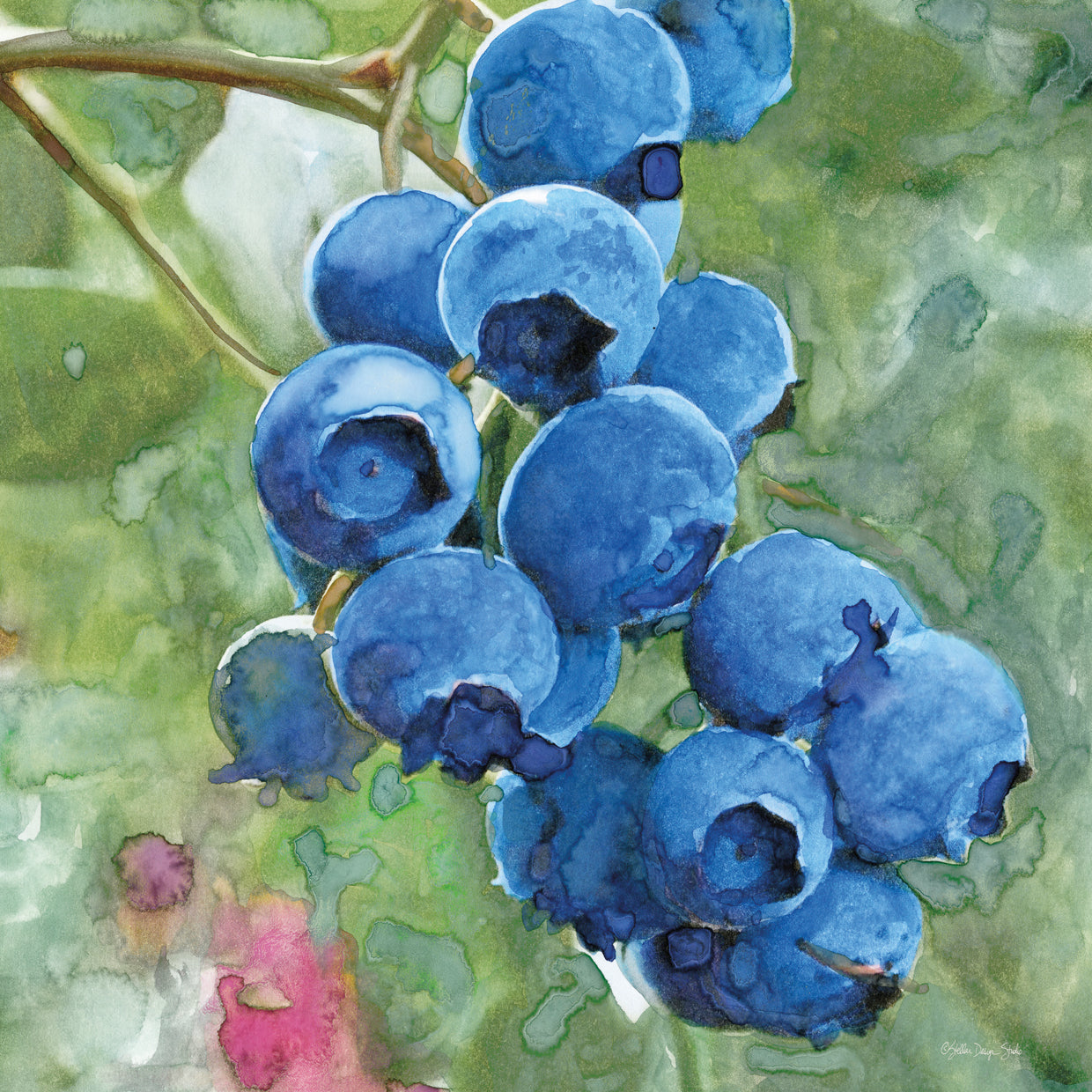 Blueberries 4