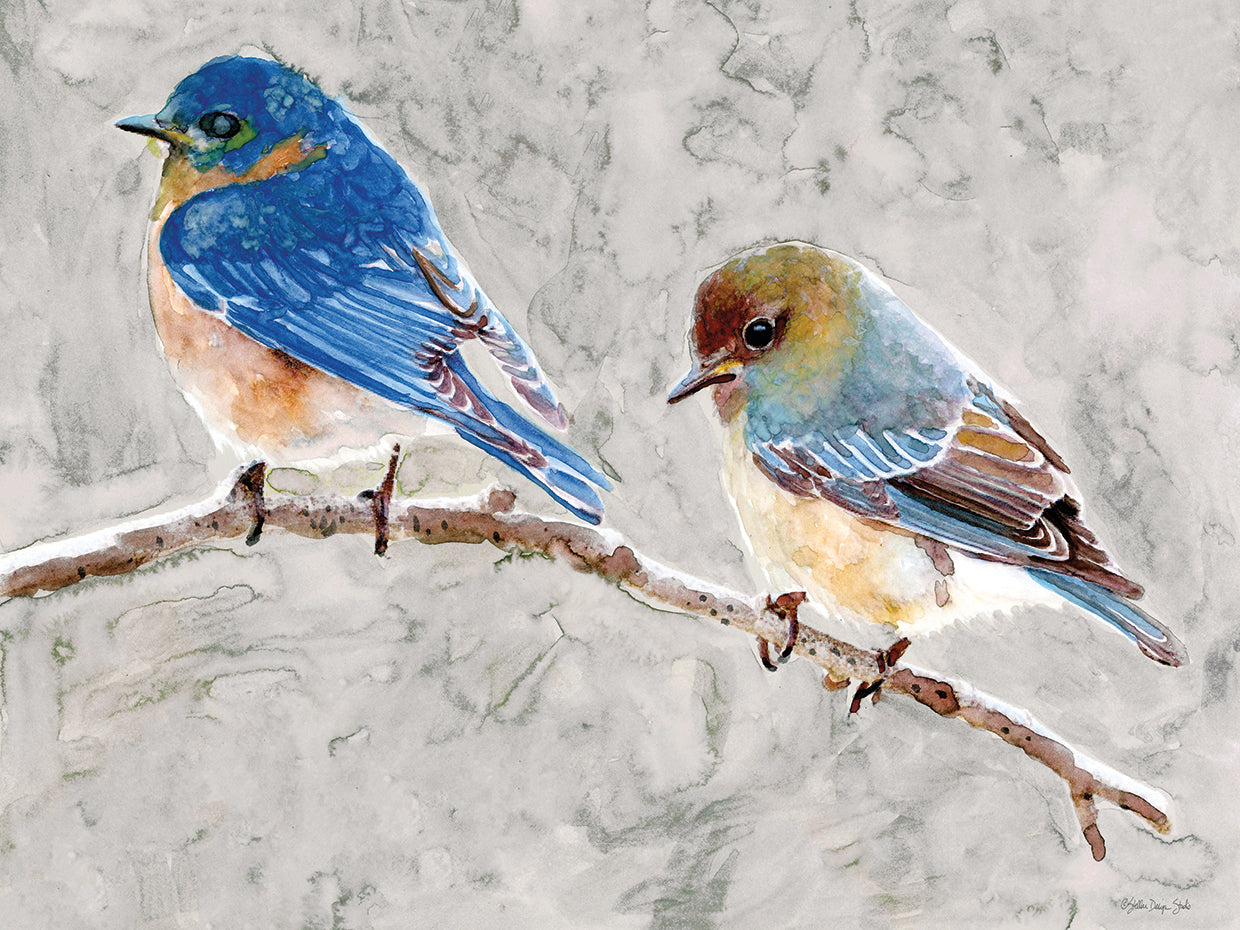 Eastern Bluebirds 1