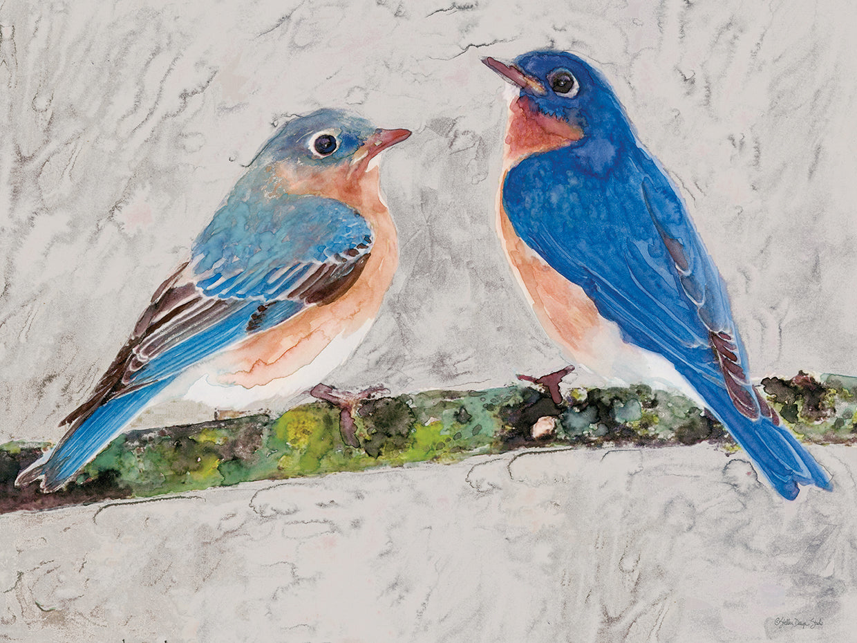 Eastern Bluebirds 2