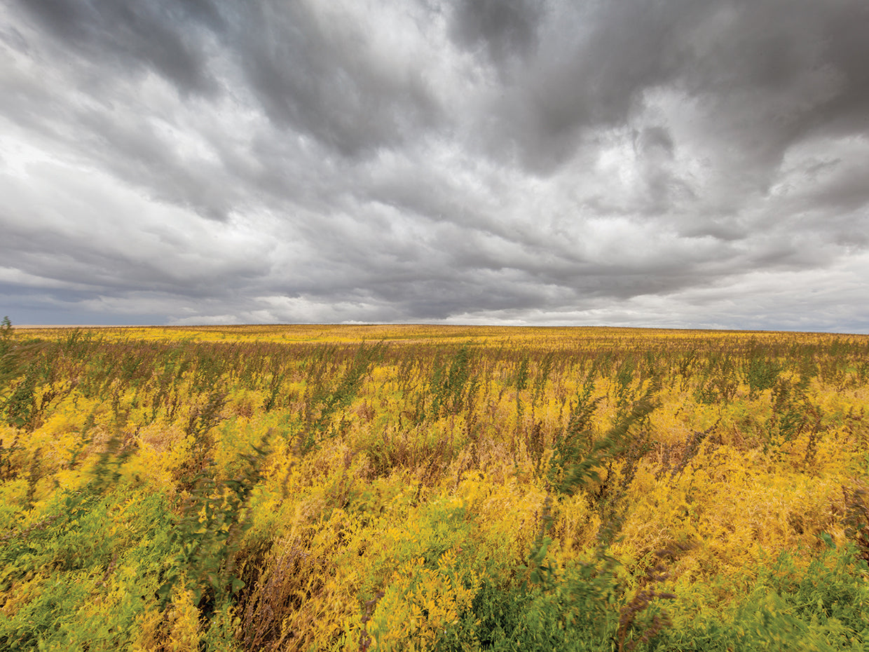 The Calm Before The Storm