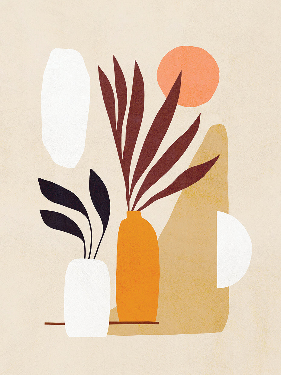 The Shapes of Nature