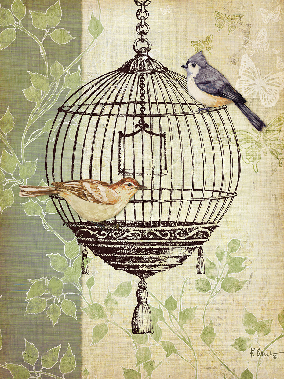Botanical Birdcage I