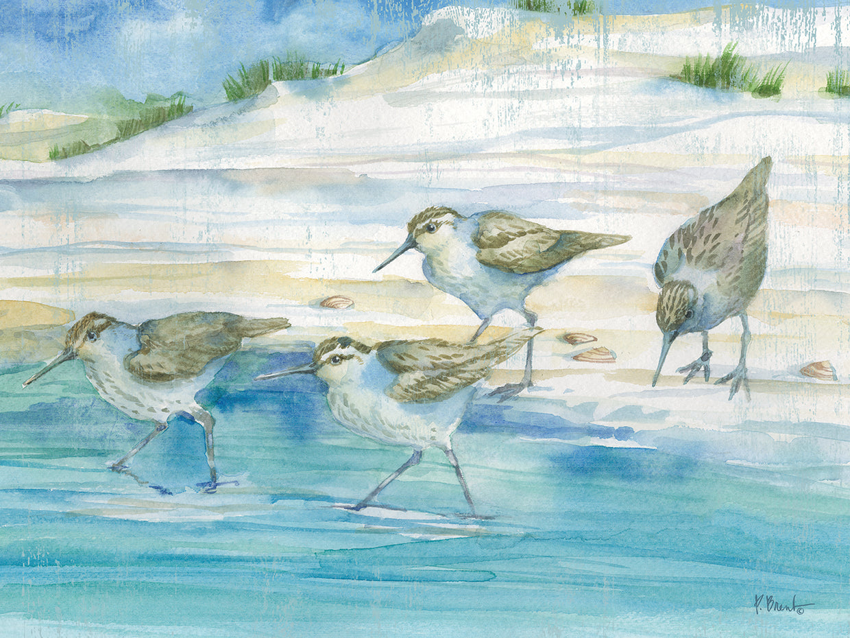 Sandy Sandpipers II