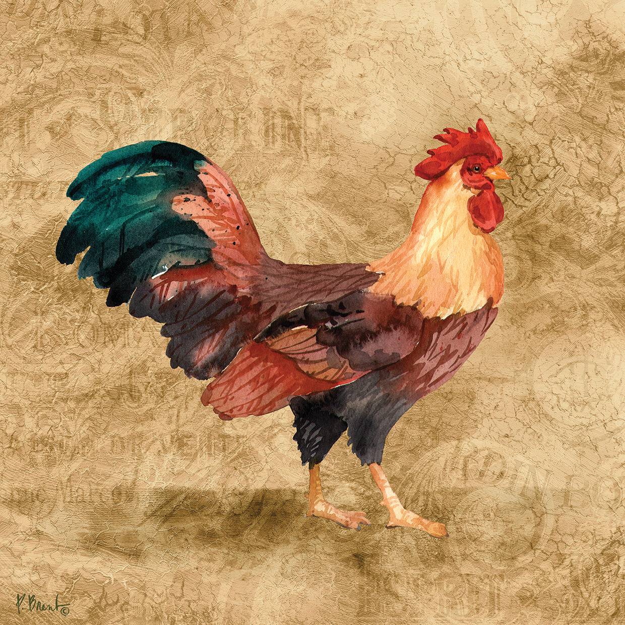 Gallo de campo francés I Lienzo