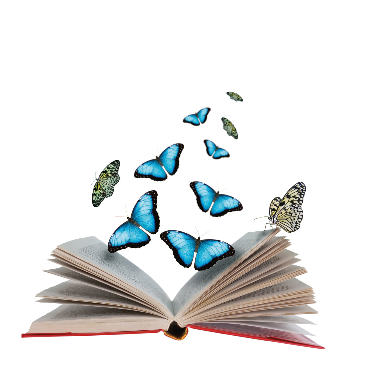 The Book of Butterflies
