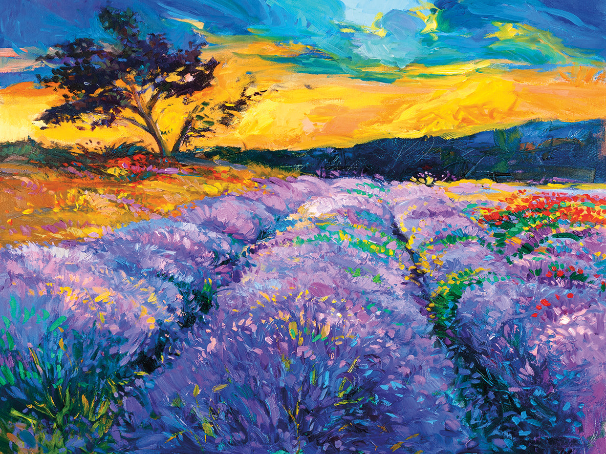 Lavender Fields in Oil