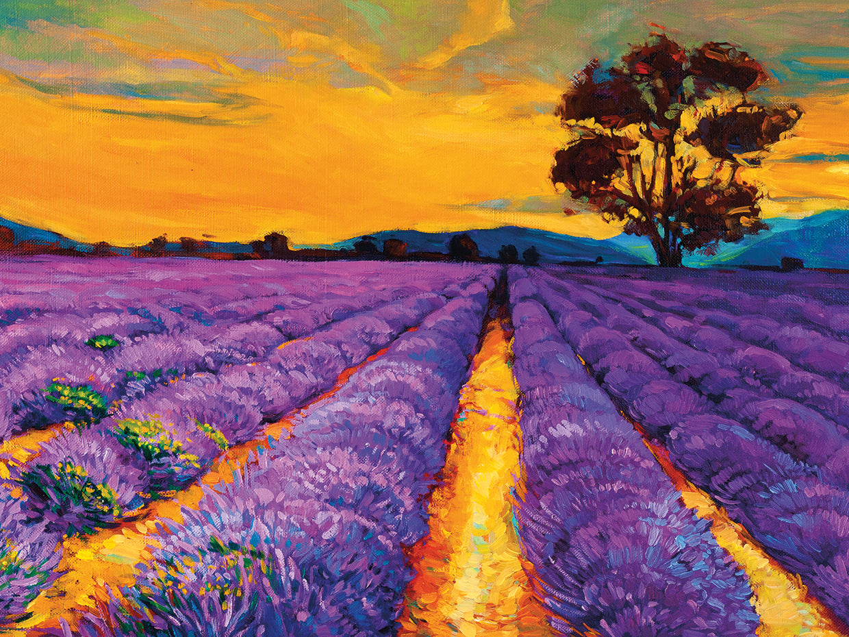 Sunset Over the Lavender Fields